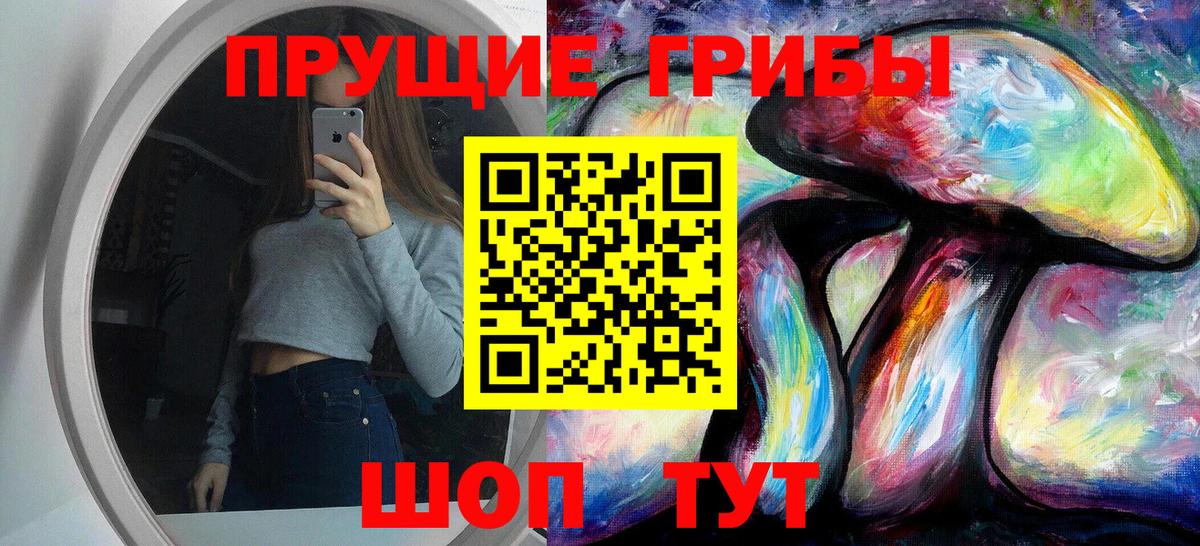 Псилоцибиновые грибы MAGIC MUSHROOMS  Вход с VPN  Нижнеудинск 